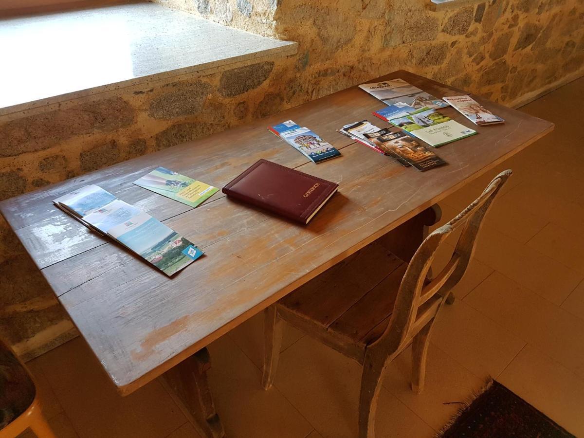Ferienwohnungen Am Buechlhof Im Oberpfaelzer Seenland Neunburg vorm Wald Εξωτερικό φωτογραφία