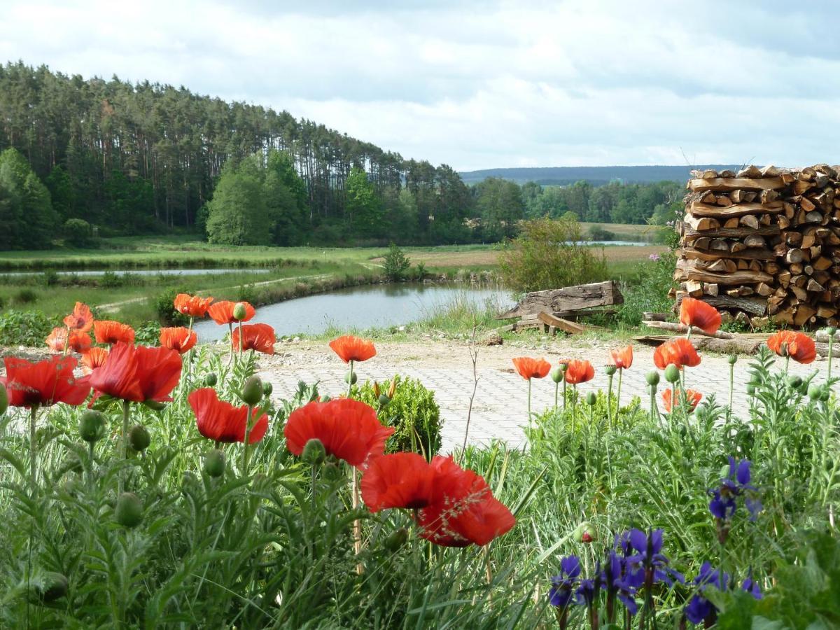 Ferienwohnungen Am Buechlhof Im Oberpfaelzer Seenland Neunburg vorm Wald Εξωτερικό φωτογραφία